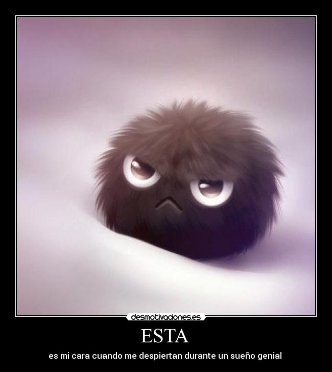 ESTA - es mi cara cuando me despiertan durante un sueño genial