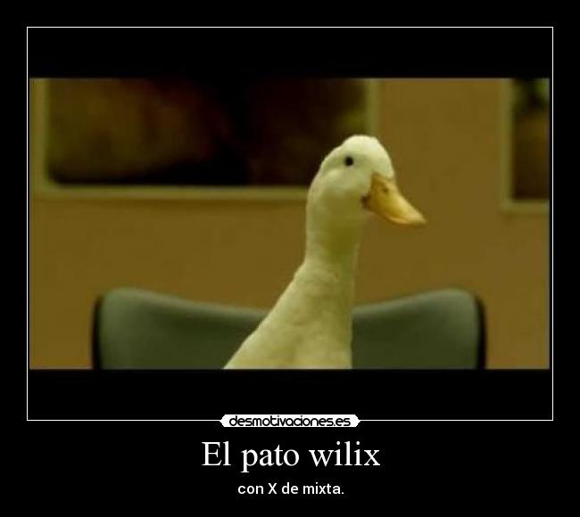 El pato wilix -