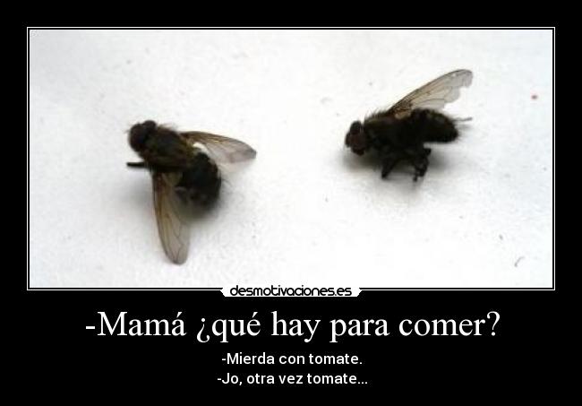 -Mamá ¿qué hay para comer? - -Mierda con tomate.
-Jo, otra vez tomate...