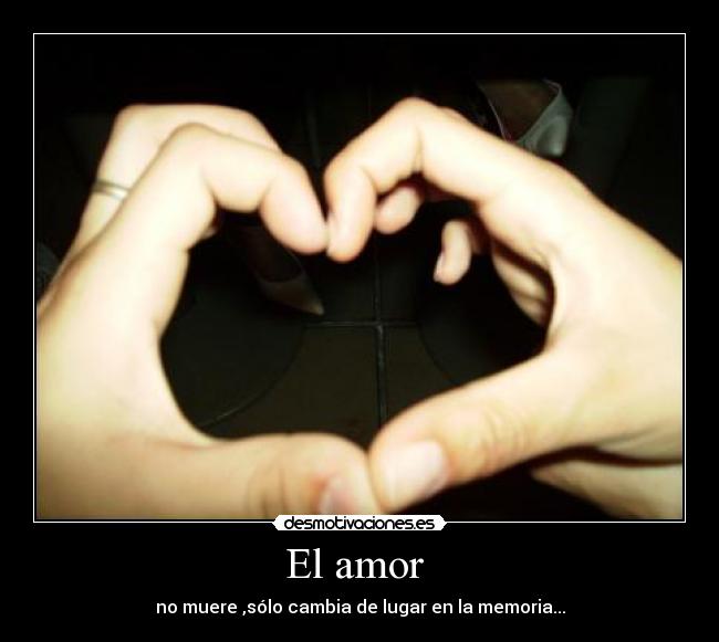 El amor  - 