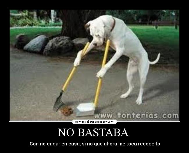 NO BASTABA -