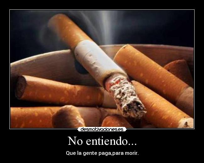 No entiendo... -
