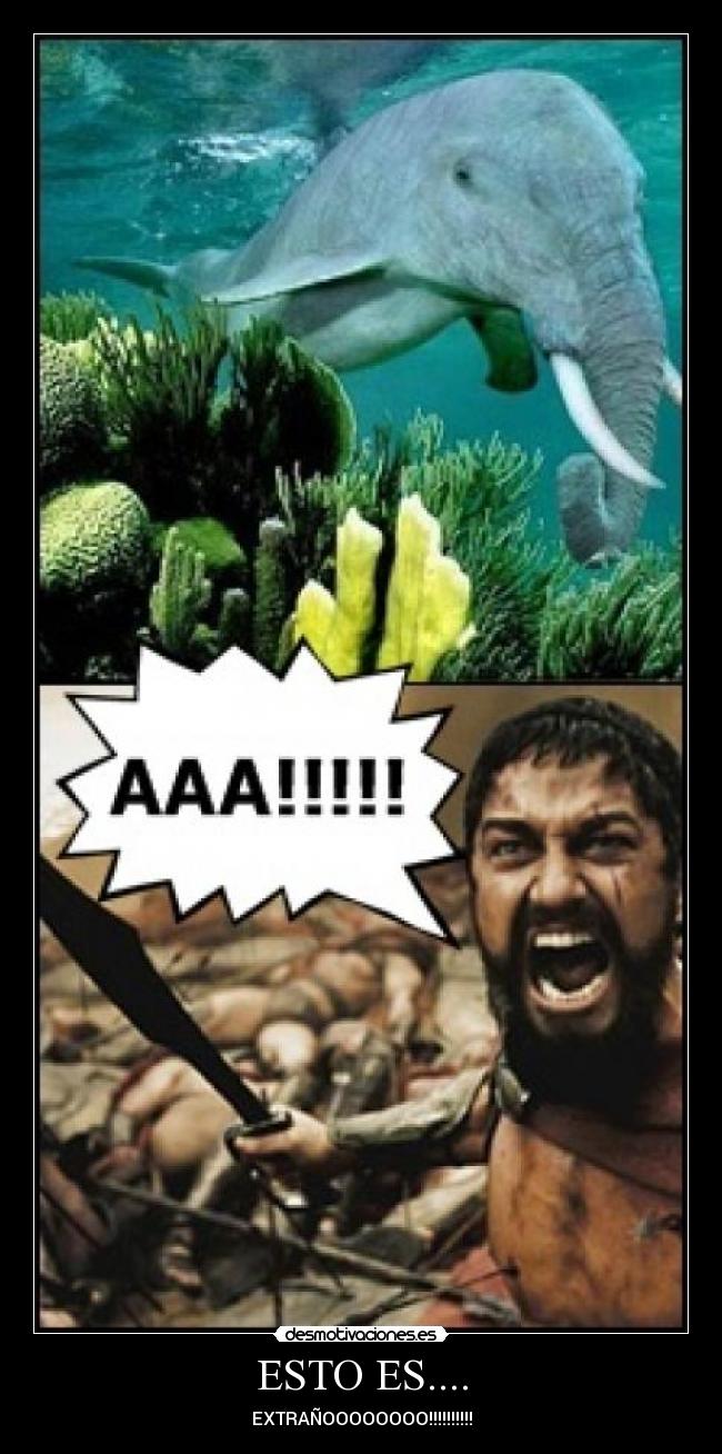 ESTO ES.... - EXTRAÑOOOOOOOO!!!!!!!!!!