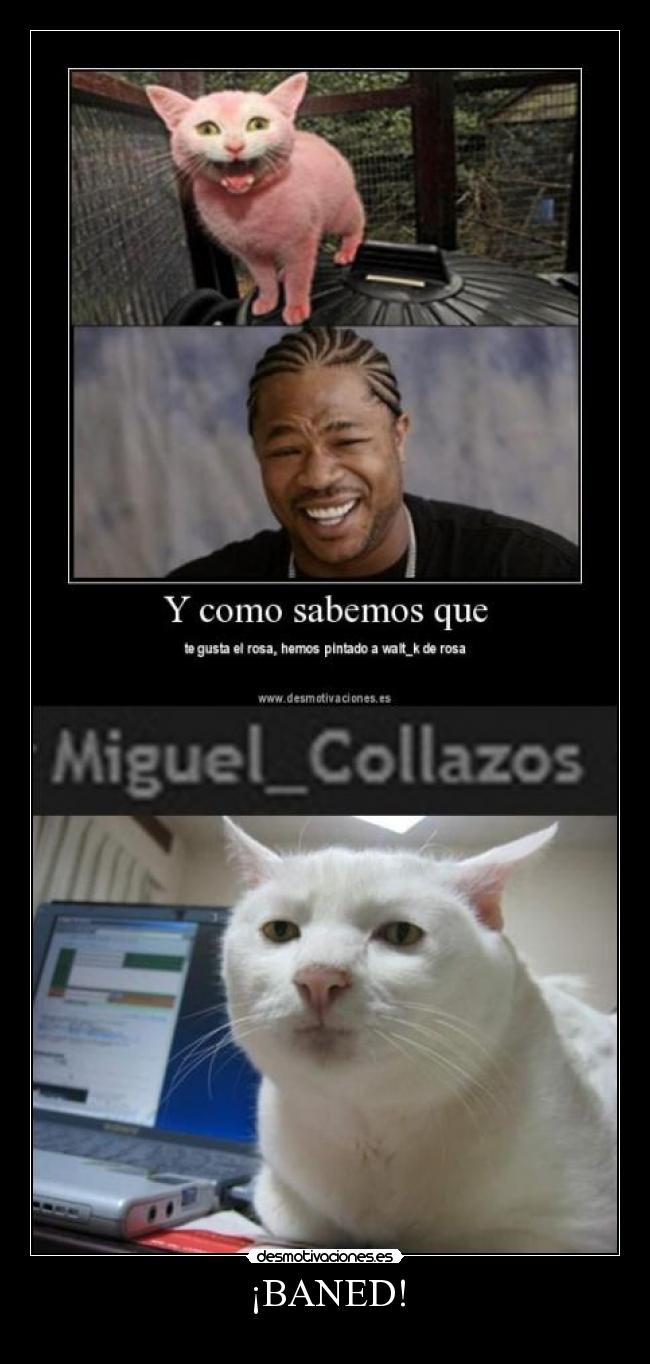 ¡BANED! - 