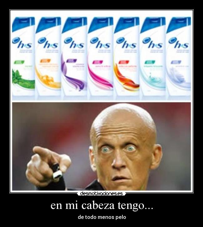 en mi cabeza tengo... - de todo menos pelo