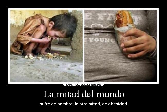 La mitad del mundo -