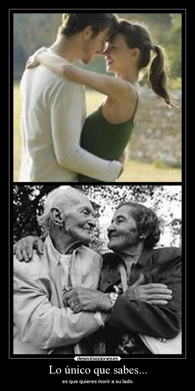 Lo único que sabes... - 