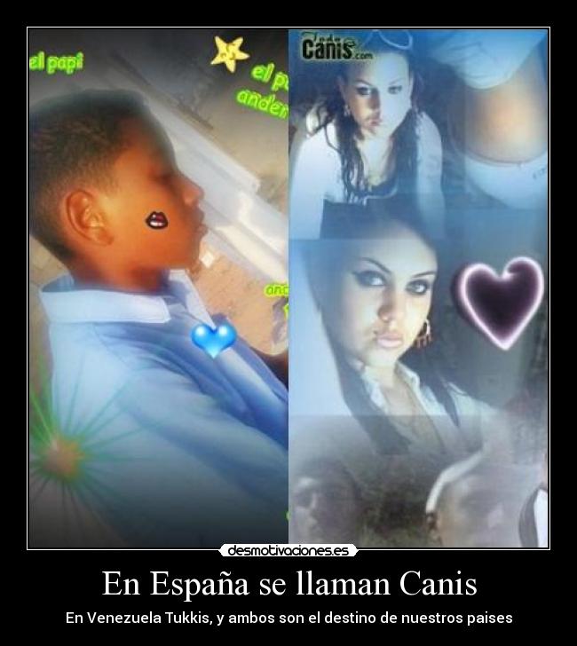 En España se llaman Canis - En Venezuela Tukkis, y ambos son el destino de nuestros paises