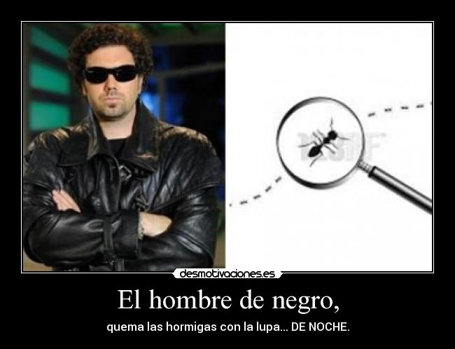 carteles palomitachamuscada desmotivaciones