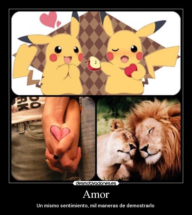 Amor -