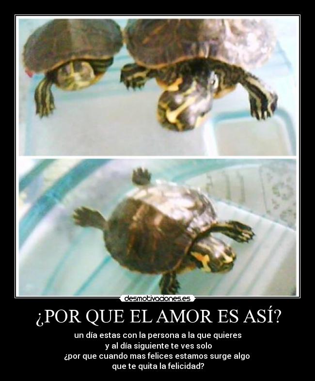 carteles amor riberas desmotivaciones