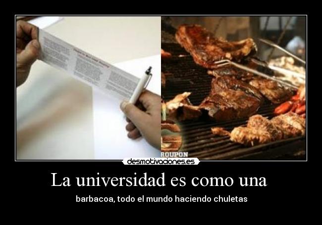 La universidad es como una - barbacoa, todo el mundo haciendo chuletas