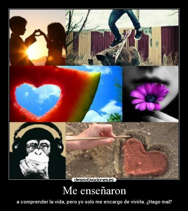 Me enseñaron - a comprender la vida, pero yo solo me encargo de vivirla. ¿Hago mal?