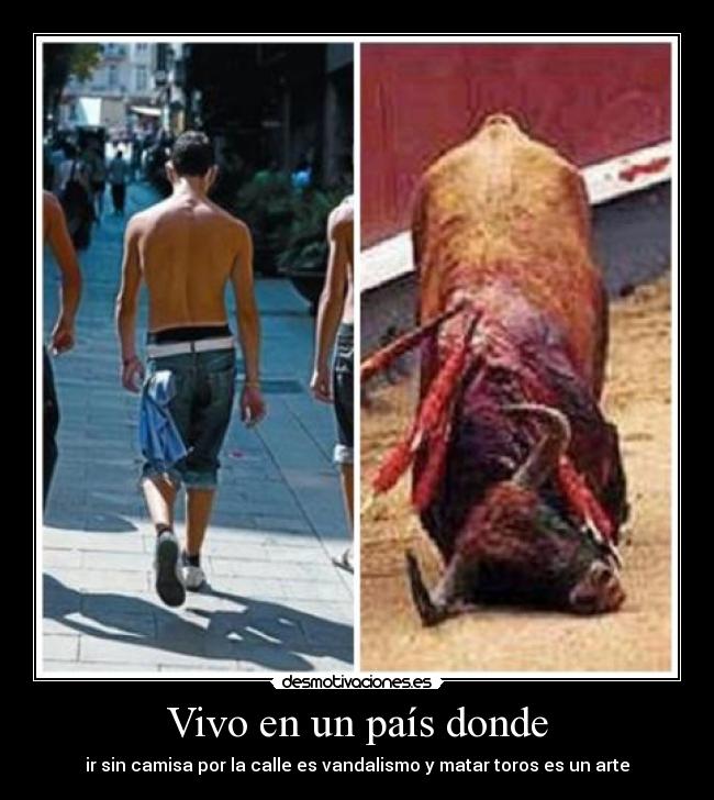 Vivo en un país donde -