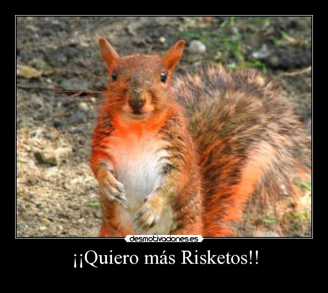 carteles eggc desmotivaciones