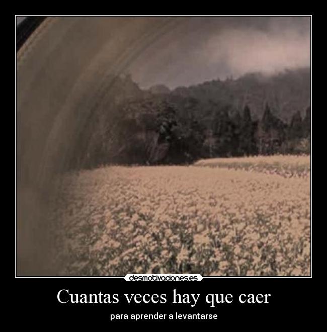 Cuantas veces hay que caer -