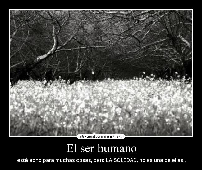 El ser humano - está echo para muchas cosas, pero LA SOLEDAD, no es una de ellas..