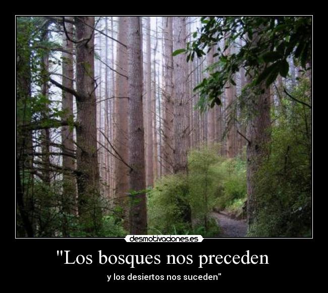 Los bosques nos preceden  - y los desiertos nos suceden