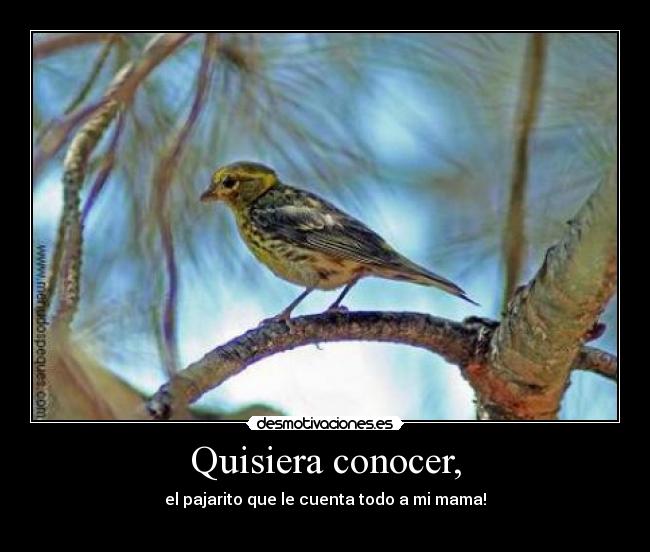 carteles miguel duarte desmotivaciones