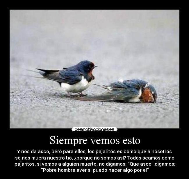 Siempre vemos esto - Y nos da asco, pero para ellos, los pajaritos es como que a nosotros
se nos muera nuestro tio, ¿porque no somos así? Todos seamos como
pajaritos, si vemos a alguien muerto, no digamos: Que asco digamos:
Pobre hombre aver si puedo hacer algo por el