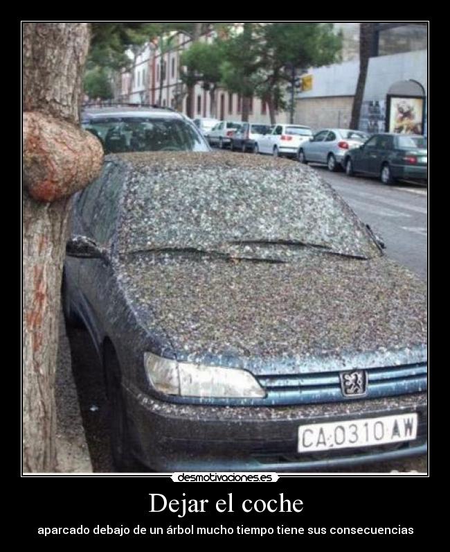 Dejar el coche - 
