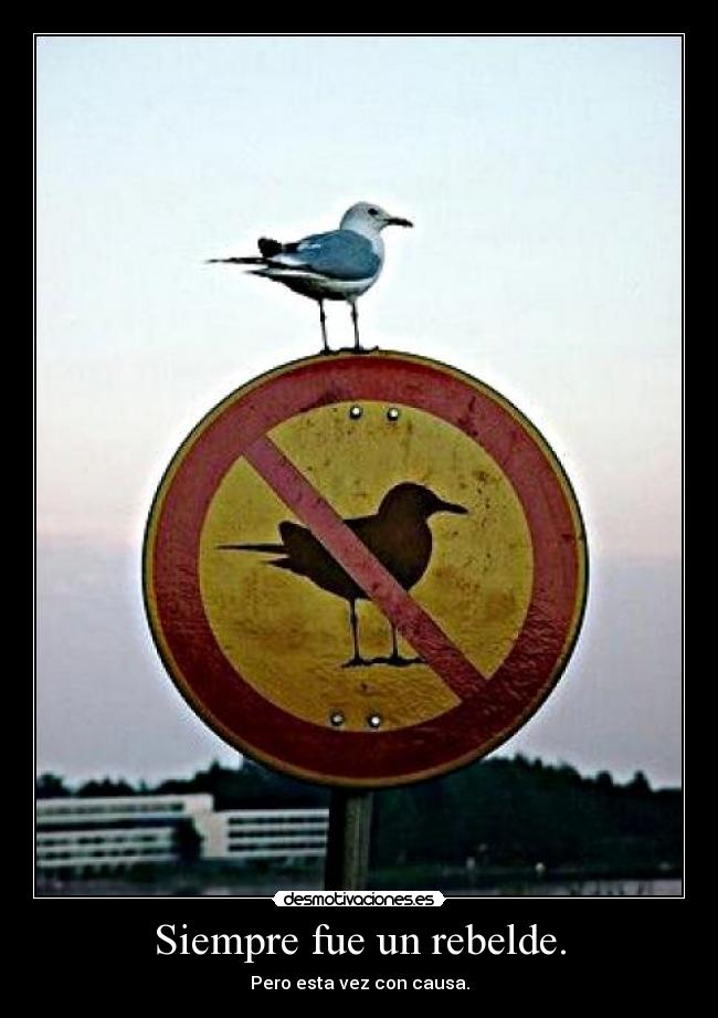 Siempre fue un rebelde. -