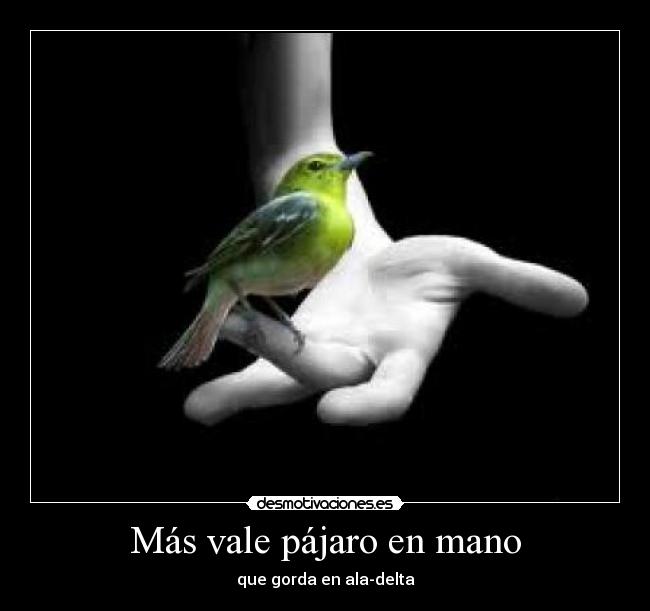 Más vale pájaro en mano - que gorda en ala-delta