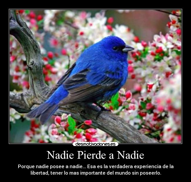 Nadie Pierde a Nadie - Porque nadie posee a nadie... Esa es la verdadera experiencia de la
libertad, tener lo mas importante del mundo sin poseerlo.