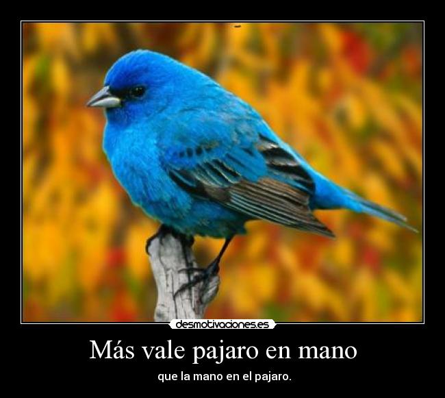 Más vale pajaro en mano - 