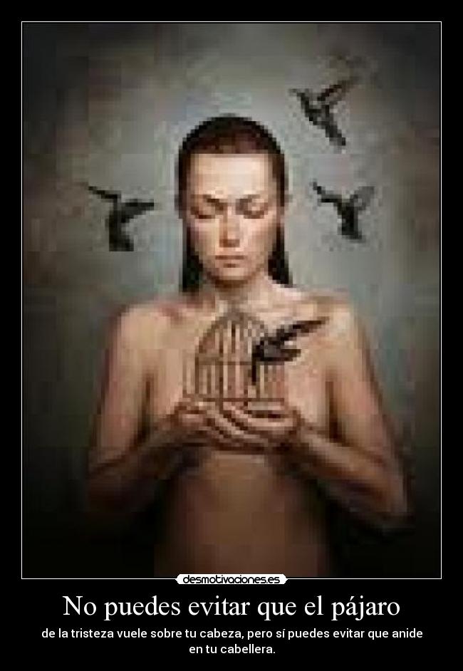 No puedes evitar que el pájaro -
