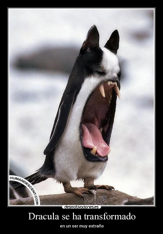 Dracula se ha transformado - en un ser muy extraño