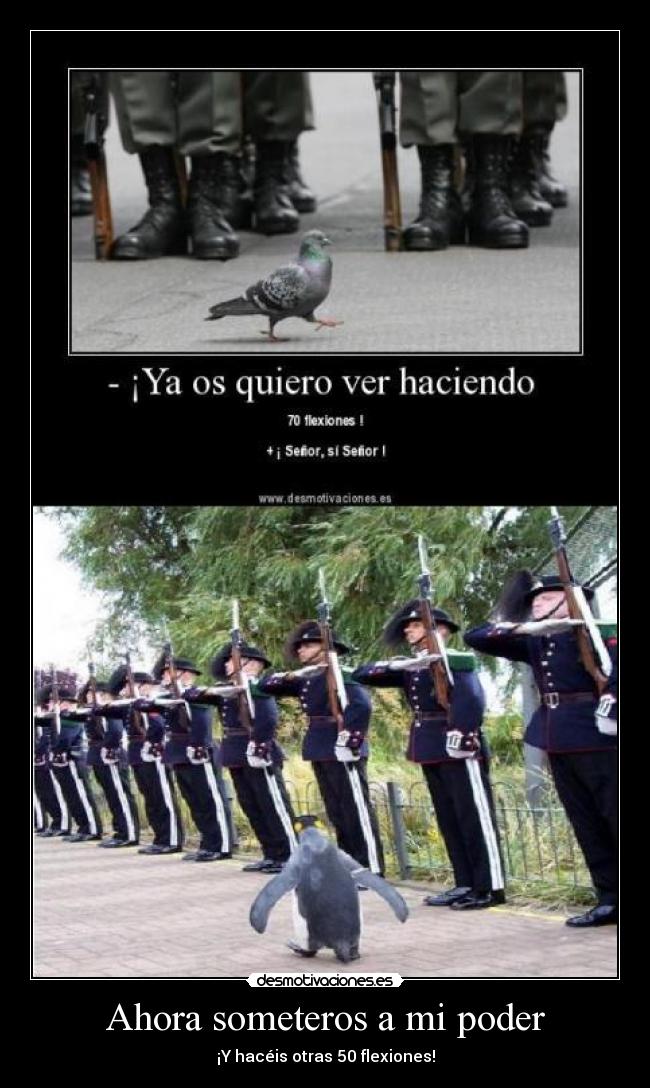 Ahora someteros a mi poder - ¡Y hacéis otras 50 flexiones!