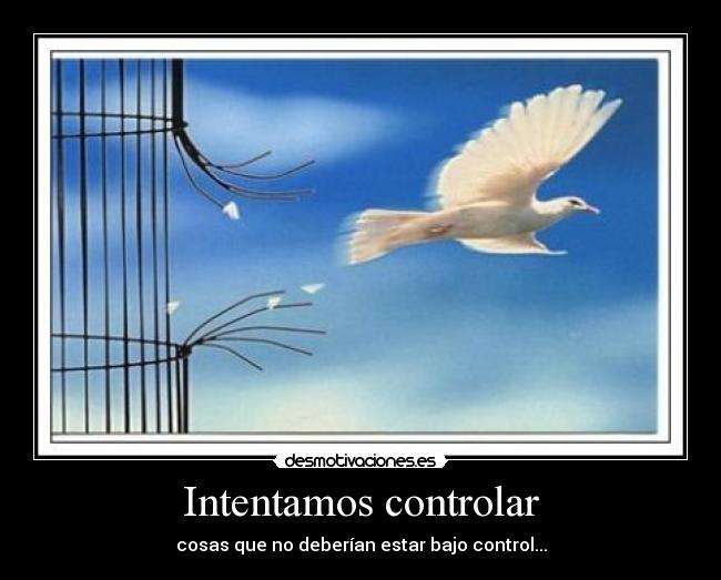 Intentamos controlar -