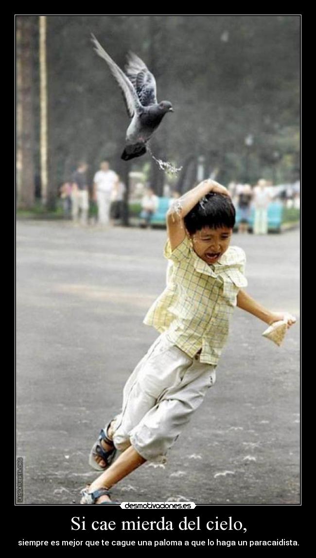 Si cae mierda del cielo, -