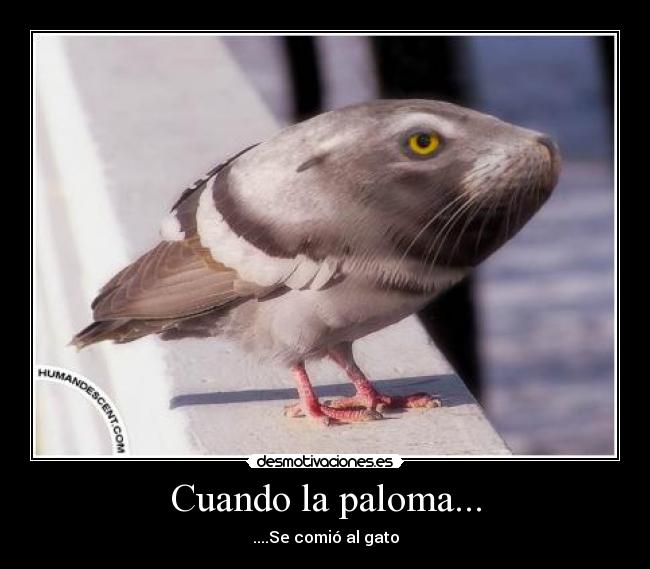 Cuando la paloma... -
