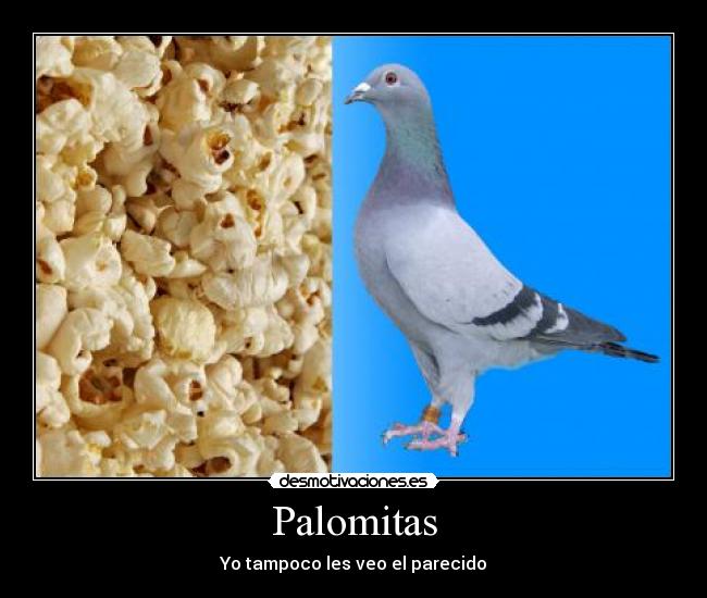 Palomitas - Yo tampoco les veo el parecido