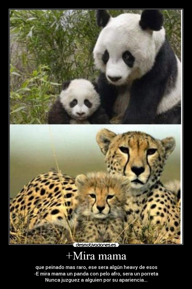 +Mira mama - que peinado mas raro, ese sera algún heavy de esos
-E mira mama un panda con pelo afro, sera un porreta
Nunca juzguez a alguien por su apariencia...