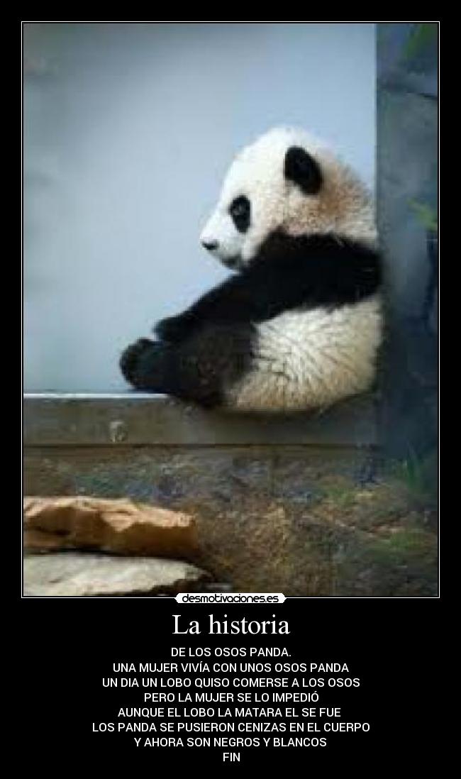 La historia - DE LOS OSOS PANDA.
UNA MUJER VIVÍA CON UNOS OSOS PANDA
UN DIA UN LOBO QUISO COMERSE A LOS OSOS
PERO LA MUJER SE LO IMPEDIÓ
AUNQUE EL LOBO LA MATARA EL SE FUE 
LOS PANDA SE PUSIERON CENIZAS EN EL CUERPO
Y AHORA SON NEGROS Y BLANCOS
FIN
