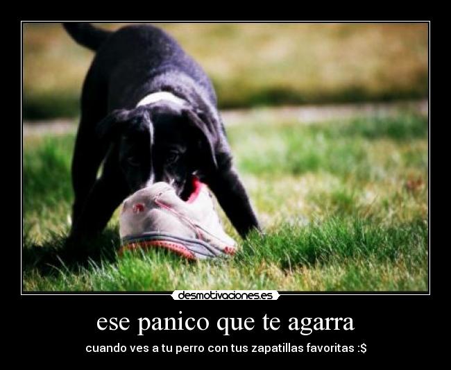 ese panico que te agarra -