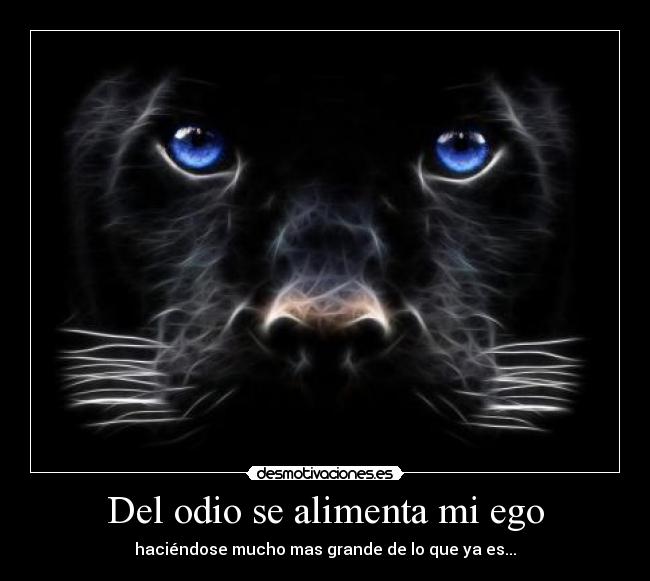 Del odio se alimenta mi ego - haciéndose mucho mas grande de lo que ya es...