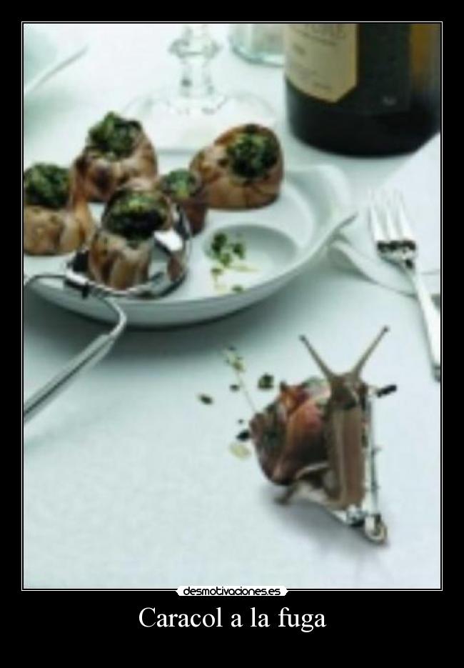 carteles fefeeeweweewewewew desmotivaciones