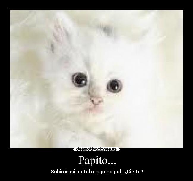 Papito... -