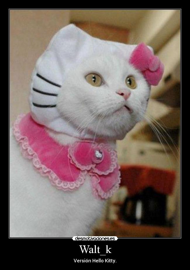 carteles dannyesku99 desmotivaciones