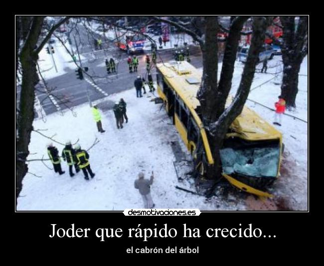 Joder que rápido ha crecido... - 