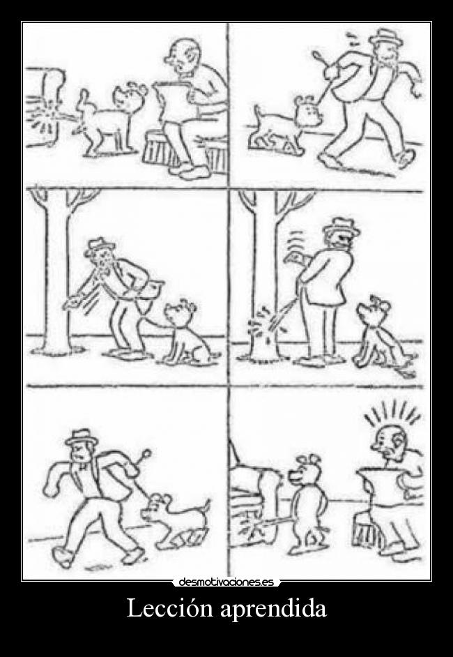 Lección aprendida -