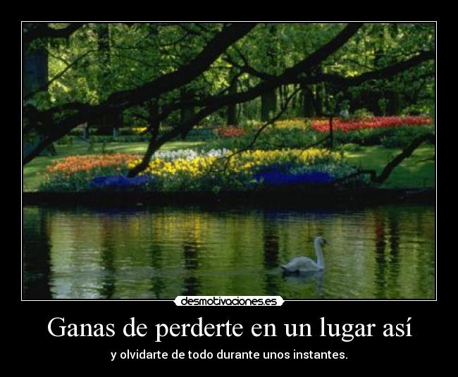 Ganas de perderte en un lugar así - 