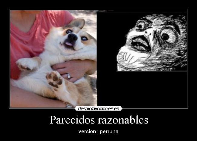 Parecidos razonables - version : perruna