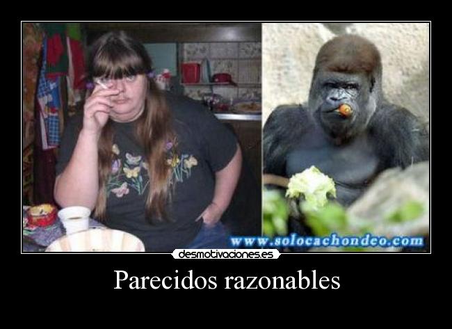 carteles papa desmotivaciones