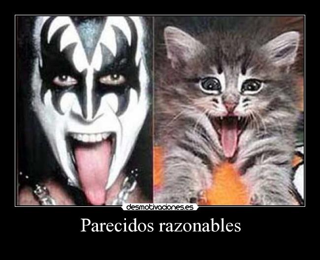 Parecidos razonables -