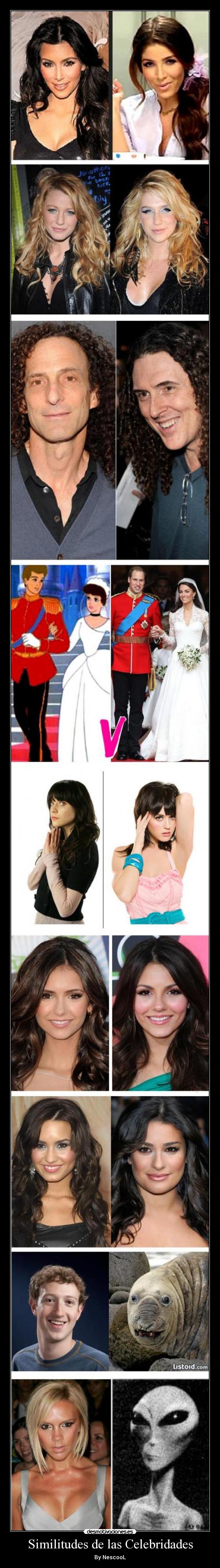 Similitudes de las Celebridades -